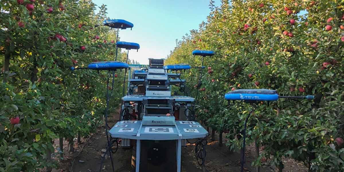 In Cile mele raccolte da robot volanti guidati dall'IA 